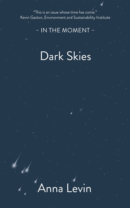 Dark Skies (Paperback)