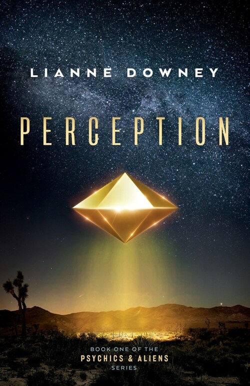 Perception (Paperback)