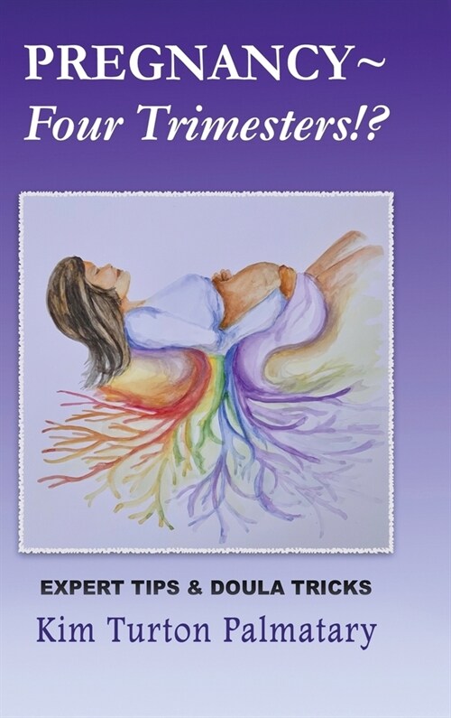 Pregnancy Four Trimesters!? (Hardcover)