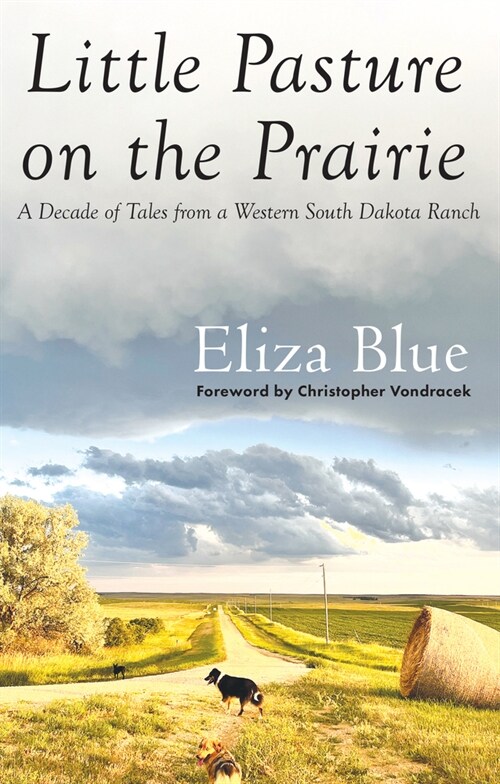 Little Pasture on the Prairie: A Decade of Tales from a Western South Dakota Ranch (Paperback)