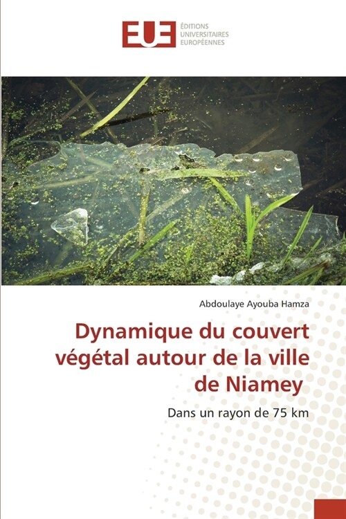 Dynamique du couvert v??al autour de la ville de Niamey (Paperback)