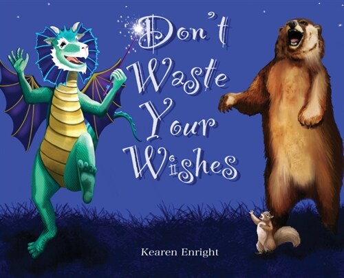 Dont Waste Your Wishes (Hardcover)