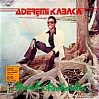 [수입] Aderemi Kabaka - Roots Funkadelia (CD)