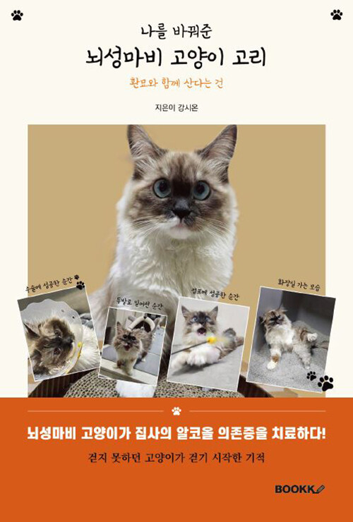 나를 바꿔준 뇌성마비 고양이 고리