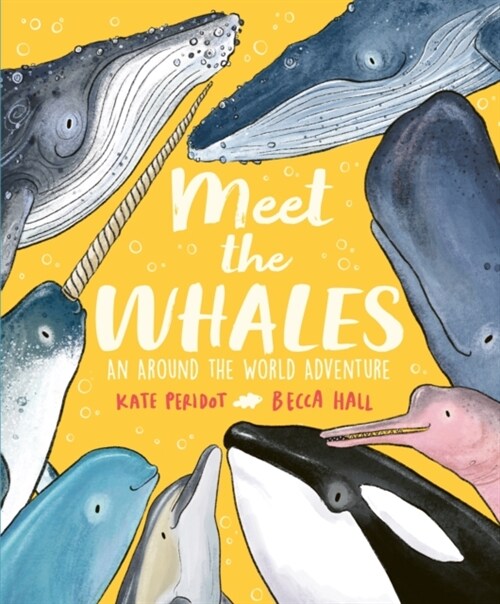 Meet the Whales (Hardcover)