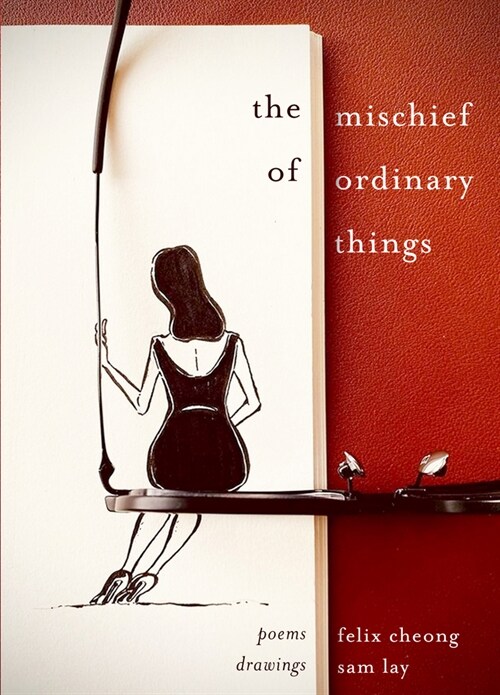 The Mischief of Ordinary Things: Not Everything Is as It Seems (Paperback)