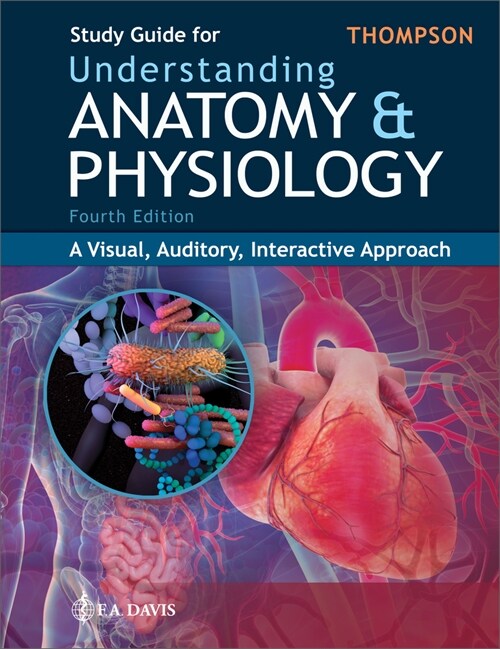 Study Guide for Understanding Anatomy & Physiology : A Visual, Auditory, Interactive Approach (Paperback, 4 Revised edition)