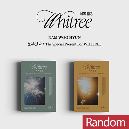 남우현 - 눈부셨다 : The Special Present For WHITREE (식목일 3 Live Ver.) [樂 / 園 중 랜덤발송]