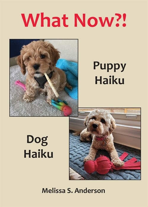 What Now?!: Puppy Haiku / Dog Haiku (Paperback)