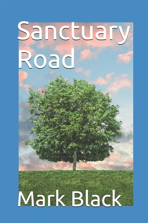 Sanctuary Road (Paperback)