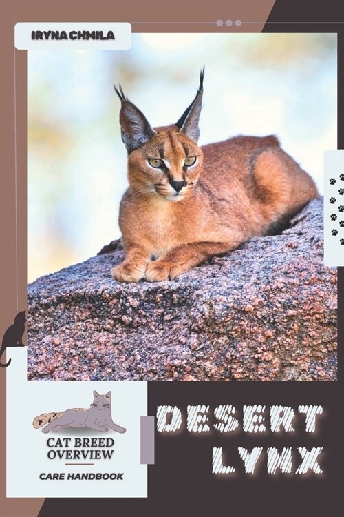 Desert Lynx: Cat breed overview, care handbook (Paperback)