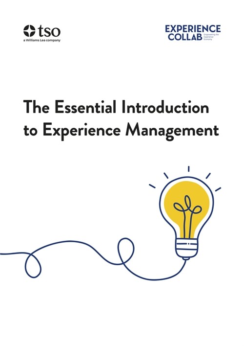 The Essential Introduction to Experience Management (Paperback)