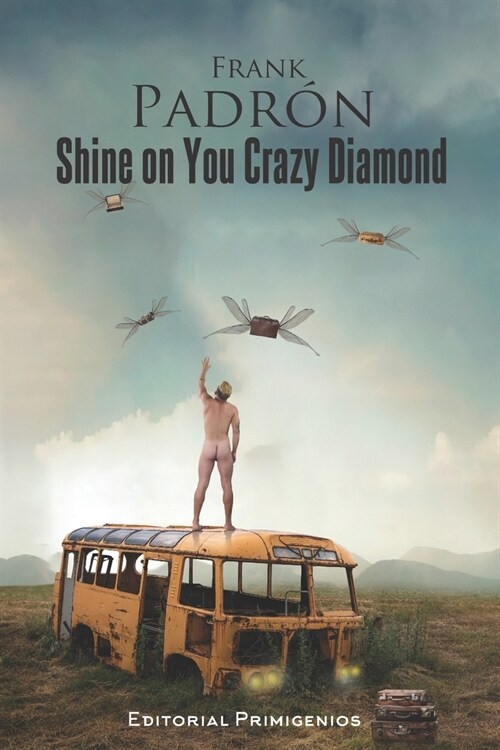 Shine on You Crazy Diamond (Paperback)