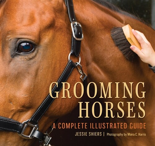 Grooming Horses: A Complete Illustrated Guide (Paperback)