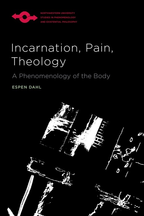 Incarnation, Pain, Theology: A Phenomenology of the Body (Hardcover)