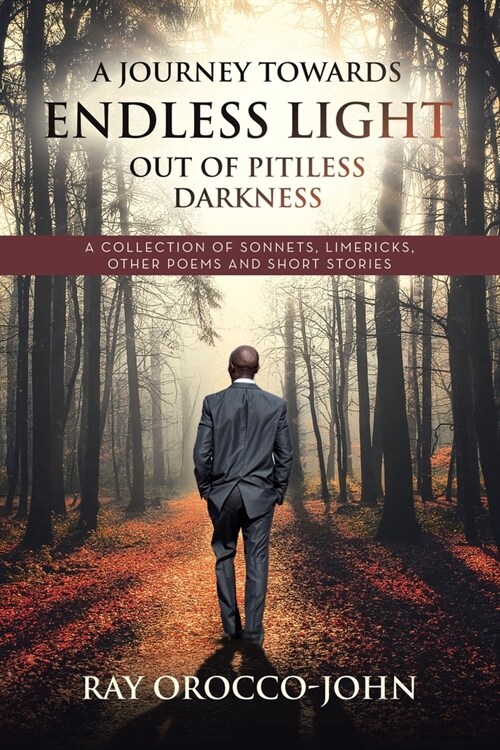 A Journey Towards Endless Light Out Of Pitiless Darkness: A Collection of Sonnets, Limericks, Other Poems and Short Stories (Paperback)