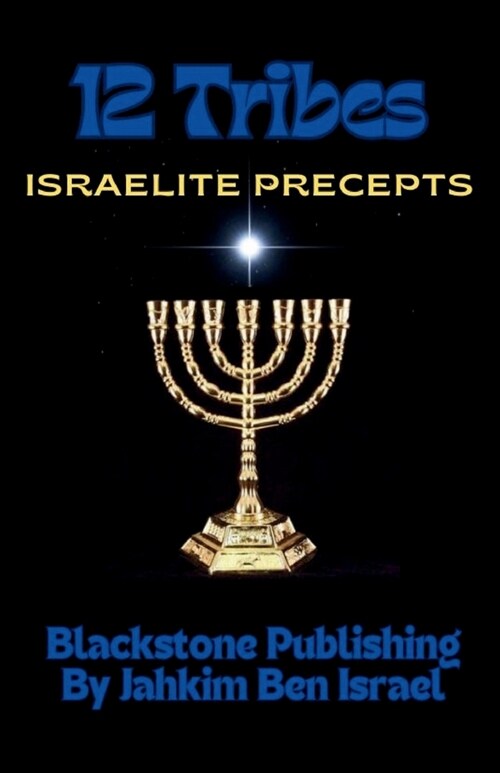 12 Tribes: Israelite Precepts (Paperback)