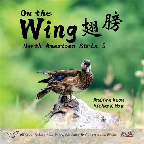 On the Wing 翅膀 - North American Birds 5: Bilingual Picture Book in English, Simplified Chinese and Pinyin (Paperback)