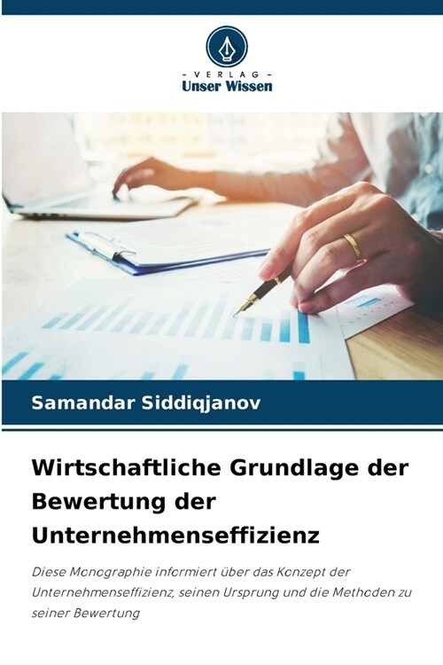 Wirtschaftliche Grundlage der Bewertung der Unternehmenseffizienz (Paperback)