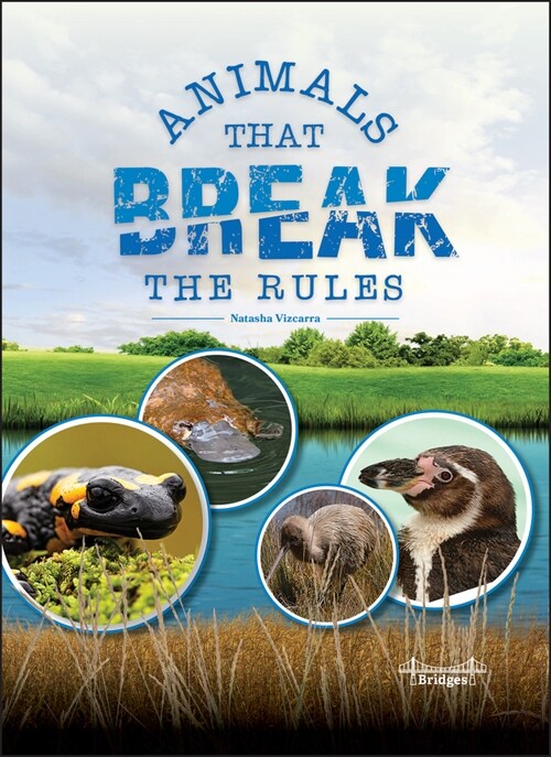 Animals That Break the Rules (Hardcover)