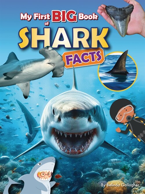 My First Big Book of Shark Facts (Library Binding)