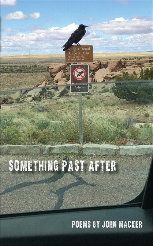 Something Past After (Paperback)