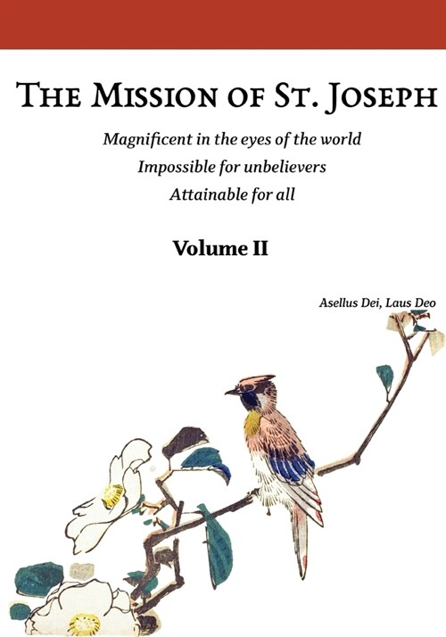 The Mission of St. Joseph. Volume II (color version): Magnificent in the eyes of the world. Impossible for unbelievers. Attainable for all (Paperback)