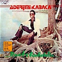 [수입] Aderemi Kabaka - Roots Funkadelia (LP)