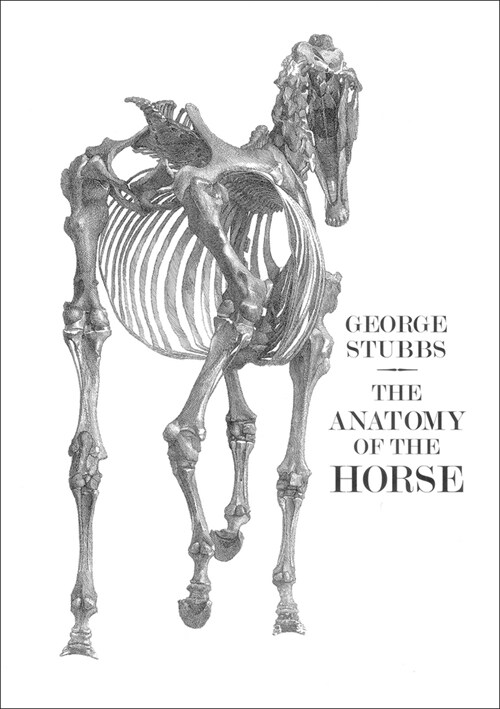 The Anatomy of the Horse (Hardcover)