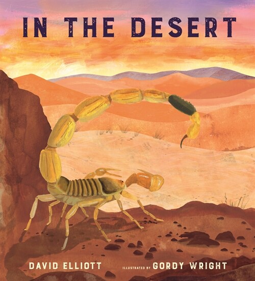 In the Desert (Hardcover)