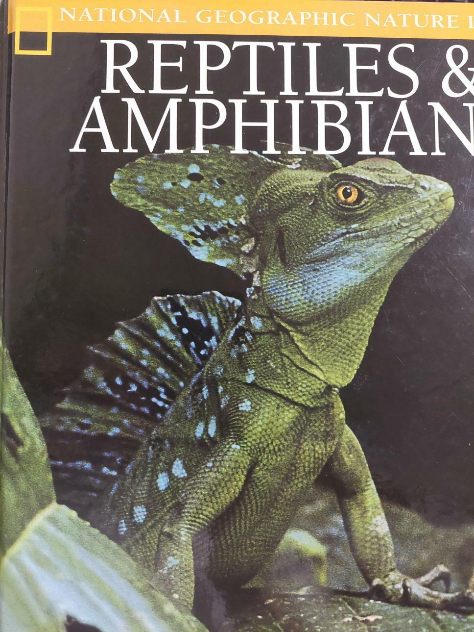 [중고] Reptiles & Amphibians (National Geographic Nature Library) (1)