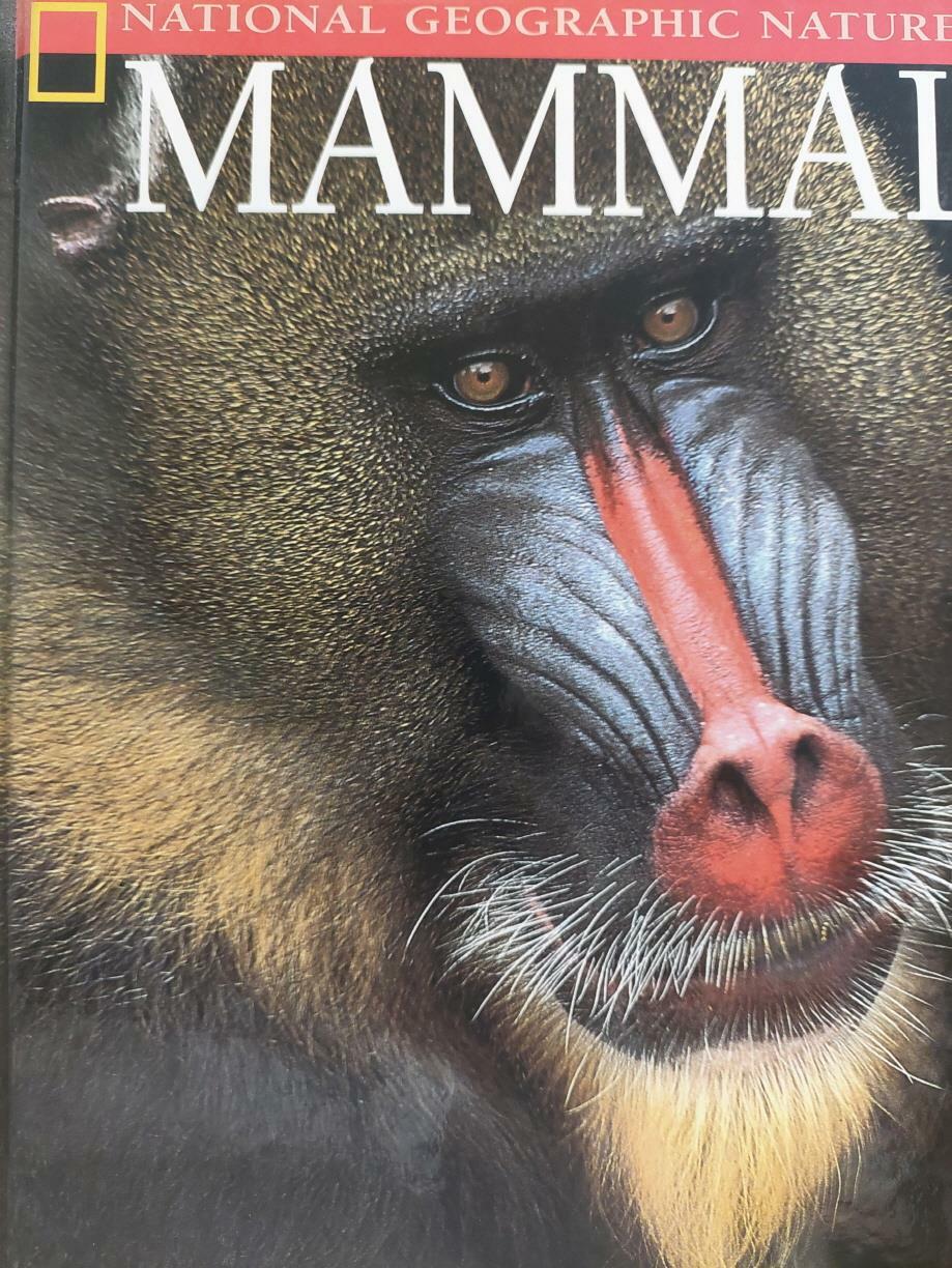 [중고] Mammals (National Geographic Nature Library) (1)