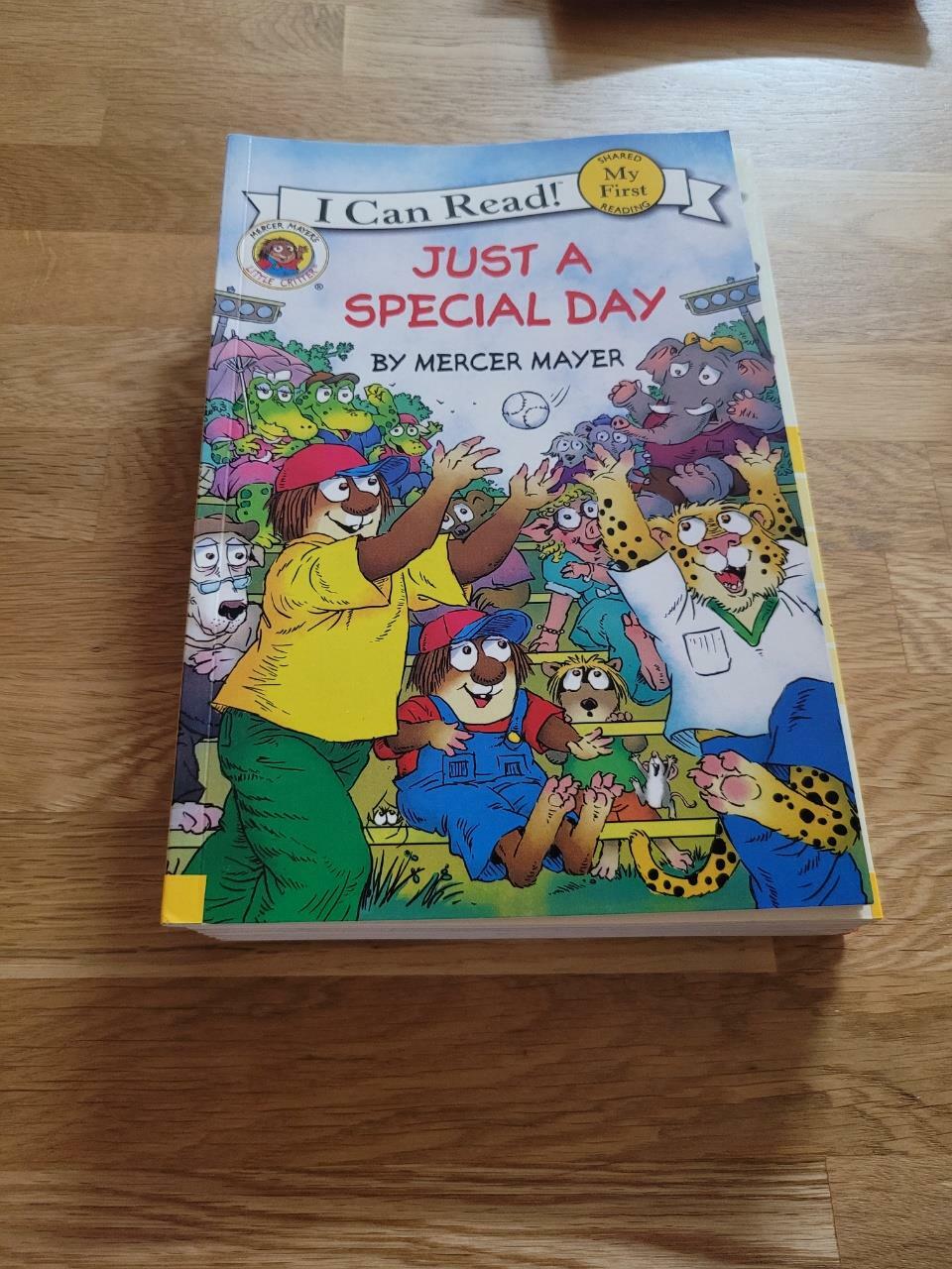 [중고] Just a Special Day (Paperback)