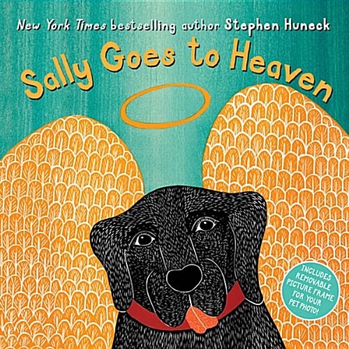 Sally Goes to Heaven (Hardcover)