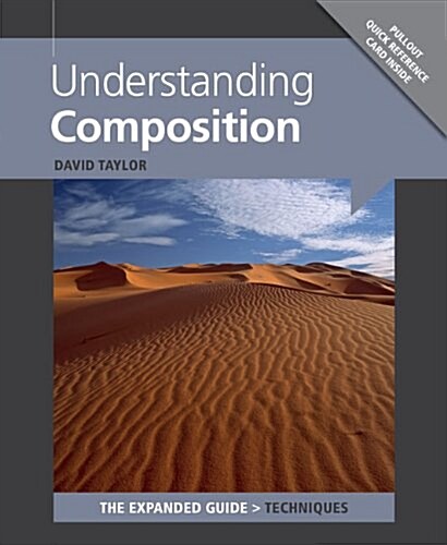 Understanding Composition (Paperback)