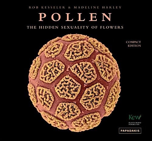 Pollen : The Hidden Sexuality of Flowers (Hardcover)