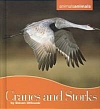 Cranes and Storks (Library Binding)