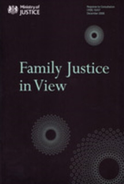 Family Justice in View (Paperback)