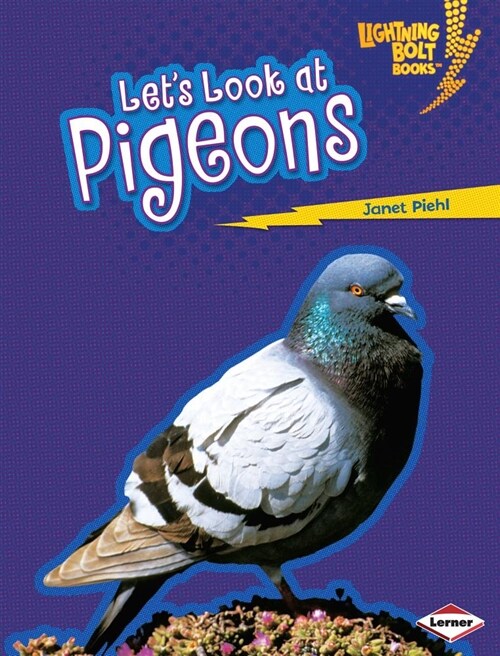 Lets Look at Pigeons (Library Binding)