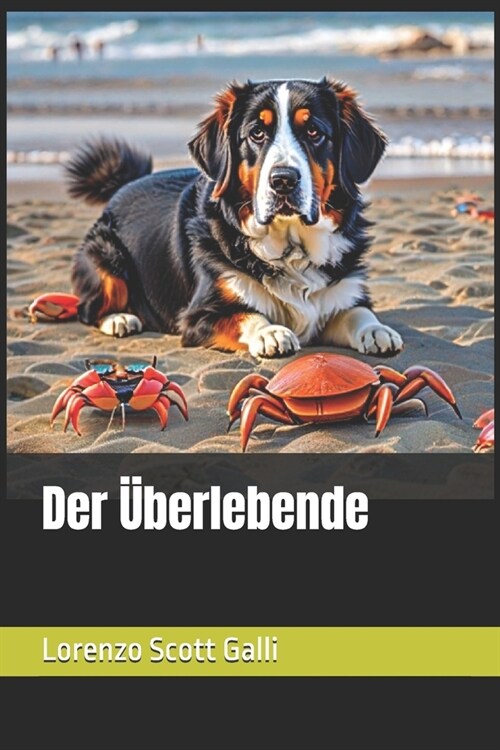 Der ?erlebende (Paperback)