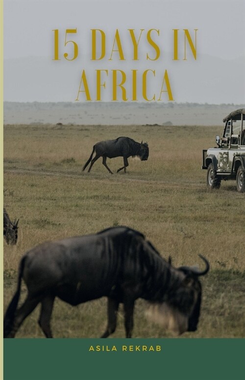 15 Days In Africa (Paperback)