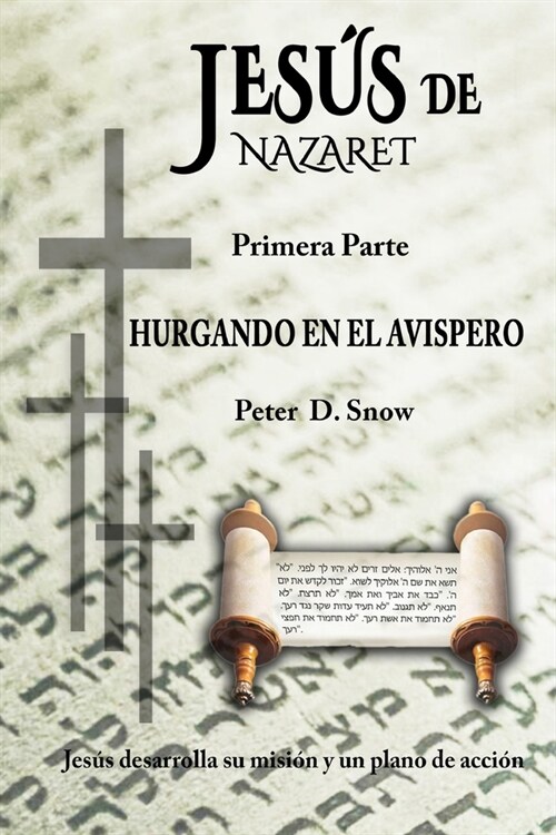 Jes? de Nazaret: Hurgando En El Avispero (Paperback, Jesus Elabora S)