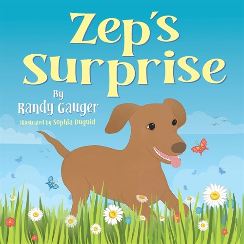 Zeps Surprise (Paperback)