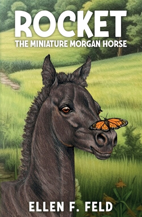 Rocket: The Miniature Morgan Horse (Paperback)