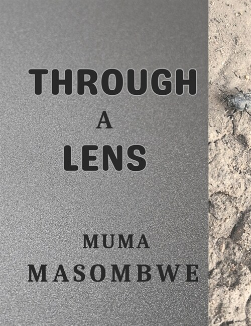 Through a Lens (Paperback)