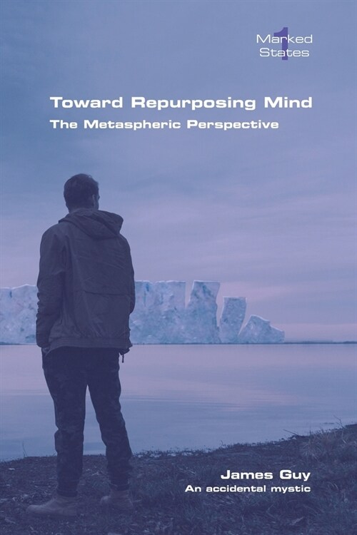 Toward Repurposing Mind. The Metaspheric Perspective (Paperback)
