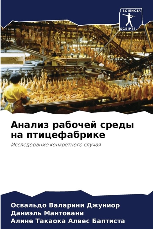 Анализ рабочей среды на п (Paperback)