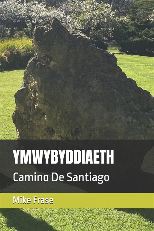 Ymwybyddiaeth: Camino De Santiago (Paperback)