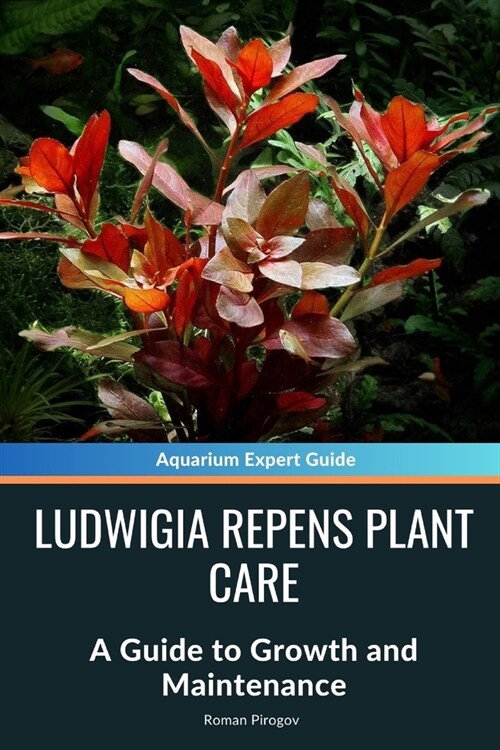 Ludwigia Repens Plant Care: A Guide to Growth and Maintenance (Paperback)