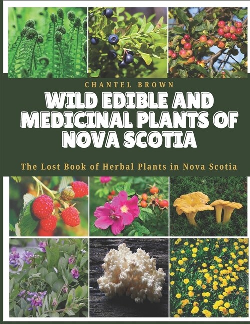 Wild Edible and Medicinal Plants of Nova Scotia: The Lost Book of Herbal Plants in Nova Scotia (Paperback)